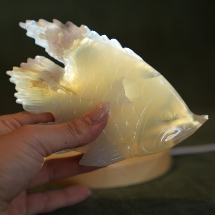 Agate Fish 2