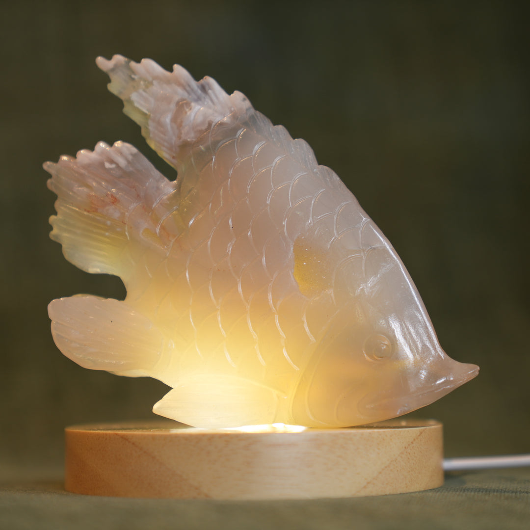 Agate Fish 2