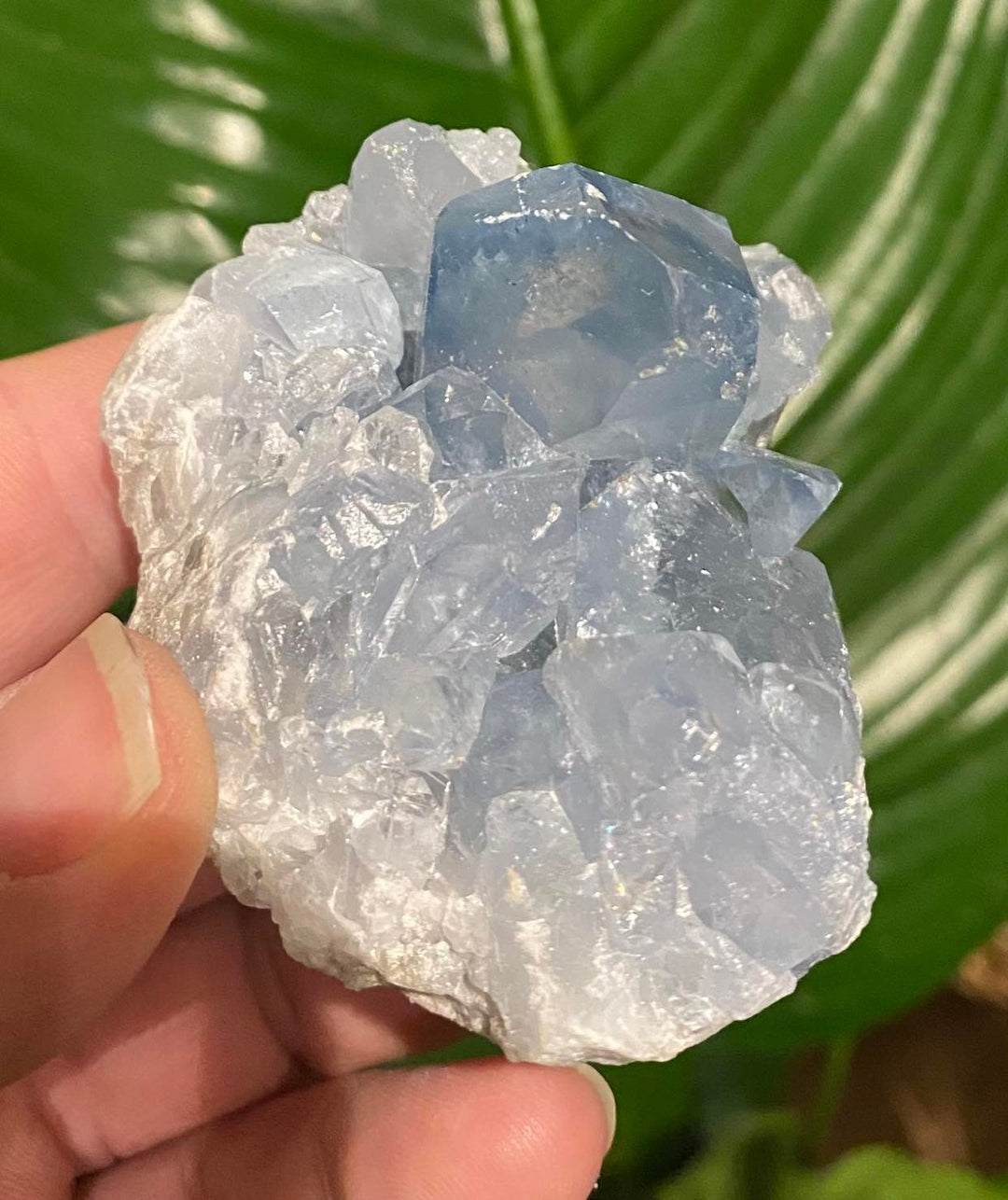 Celestite Cluster 4