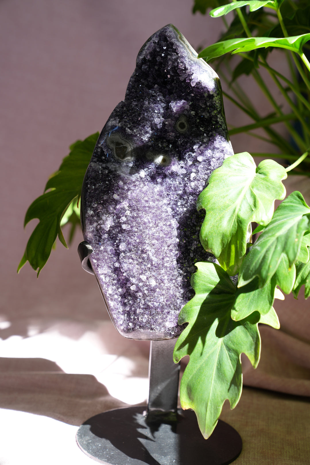 Amethyst Cluster on stand